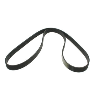 Belt Auxiliary 2.8L Tdi Powerstroke