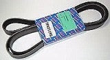Belt Auxiliary R/R P38A 4.0L & 4.6L V8