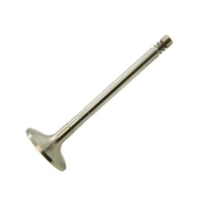 Valve Inlet 2.5L Td5