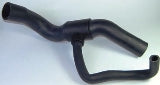 Hose Radiator R/R Classic 3.9L V8 Bottom