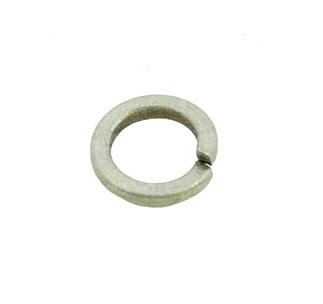 Washer Spring M6