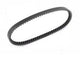 Belt Auxiliary Series 1 1.6L Petrol
