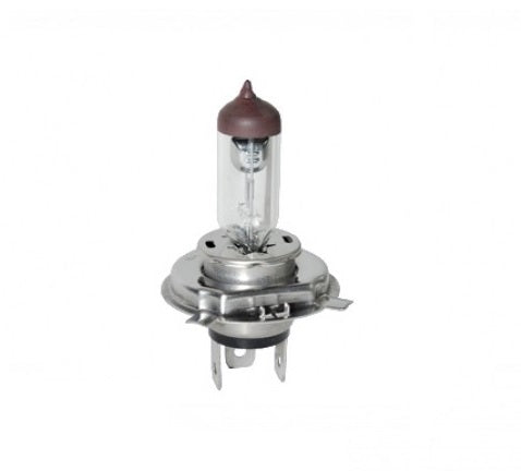 Bulb Head Lamp H4-55/60W (Single)
