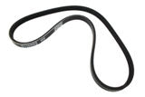 compare product Belt Power Steering Freelander 1 1.8L Petrol