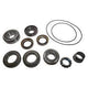 Diff Overhaul Kit Freelander 2 Rear
