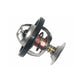 Thermostat 300Tdi