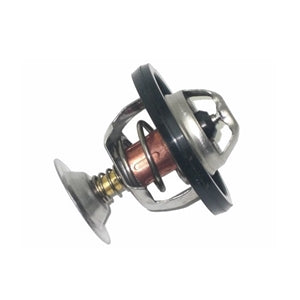 Thermostat 300Tdi