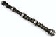 Camshaft N/R/R/Disco1/11 V8