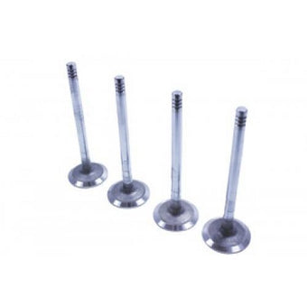 compare product Valve Inlet Hs 2.8L Tdi