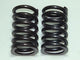 Spring Valve Rover V8