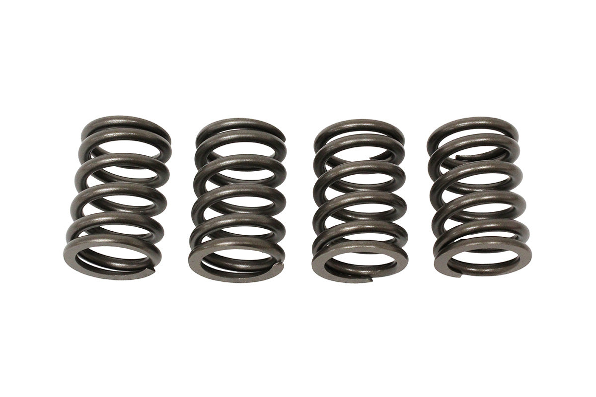 Valve Spring 2.0L Diesel