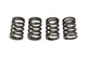 Valve Spring 2.0L Diesel