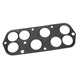Gasket Inlet Manifold 4.0/4.6 (Thor)