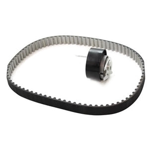 Belt Fuel Pump 2.7L Tdv6 Eu 4 (Kit)