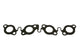 Gasket Exhaust Manifold 4.4L TdV8