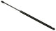 Gas Strut Top Tailgate R/R Sport (R/H)