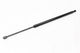 Gas Strut Top Tailgate R/R Sport (L/H)