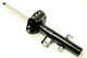 Shock Absorber Freelander 2 Right Rear