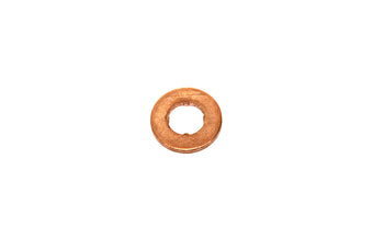 compare product Washer Injector 4.4L TdV8