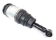 Shock Absorber Discovery 4 Rear