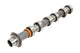 Camshaft Inlet 3.0L TdV6 Right Side