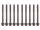 Bolt Cylinder Head 2.0L Turbo Petrol KIT