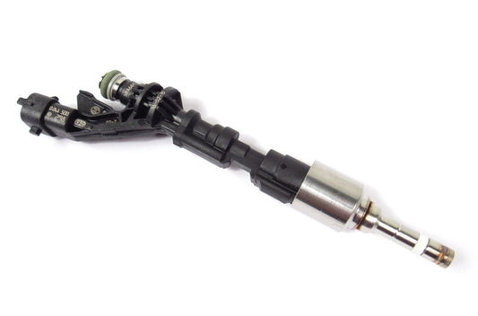 Injector Fuel 5.0L Na V8