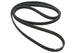 Belt Auxiliary 2.0L 16V Turbo Petrol
