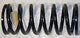 Spring Coil Defender 110 Rear Left