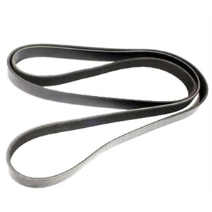 Belt Auxiliary 4.0L V6 Petrol