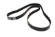 Belt Auxiliary 3.6L TdV8 (Aircon & ACE )