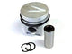 Piston 2.5L Diesel (Std)