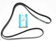Belt Auxiliary 5.0L V8 Petrol