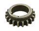 Gear Crankshaft V8