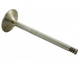 Valve Inlet 200Tdi
