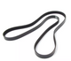 Belt Auxiliary R/R P38A 4.0L & 4.6L V8