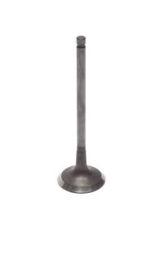 Valve Exhaust 5.0L V8