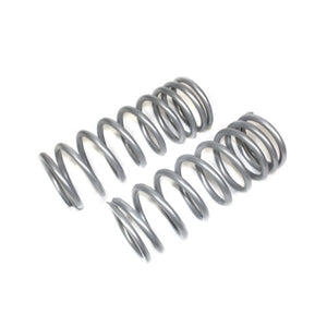 Spring Coil Terrafirma Heavy Load Rear